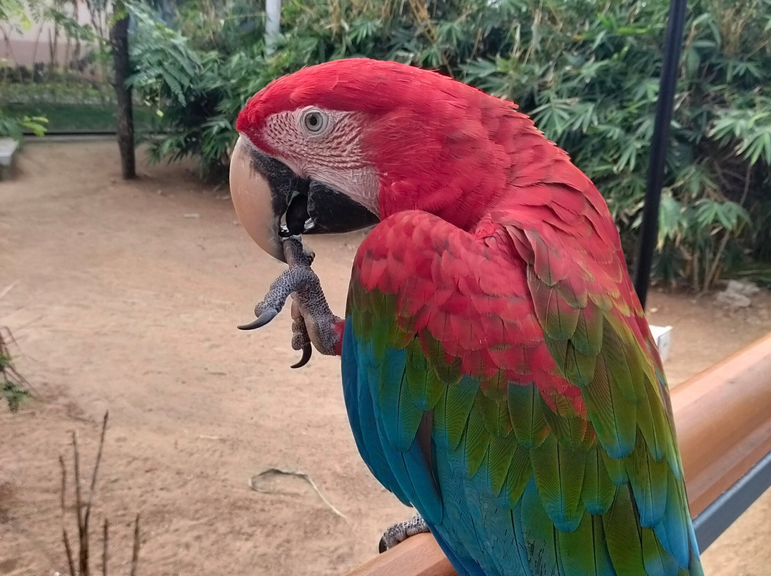 Trichy Birds Park-Tiruchirappalli District必去景点
