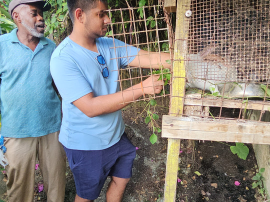 Genesis Nature Park & Art Gallery-多巴哥必去景点