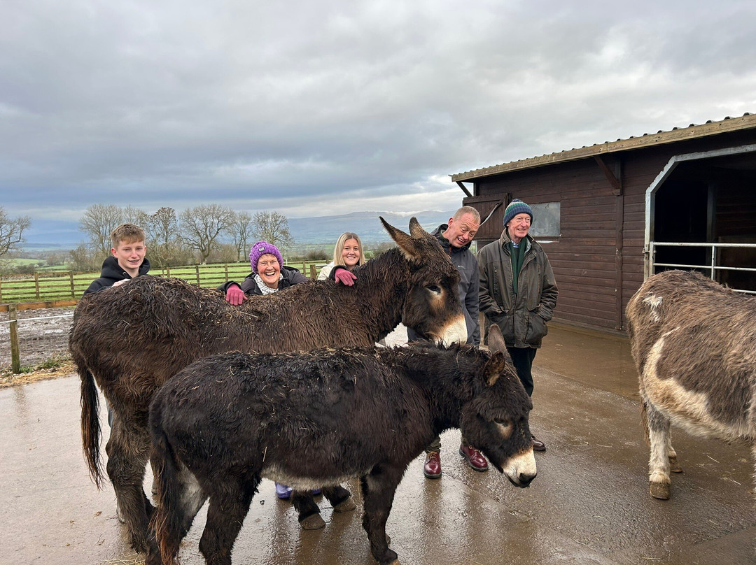 Barnhill Donkeys Retreat Sleagill