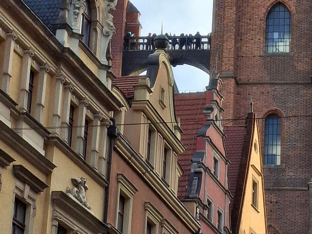 Wroclaw Town Hall-弗罗茨瓦夫必去景点