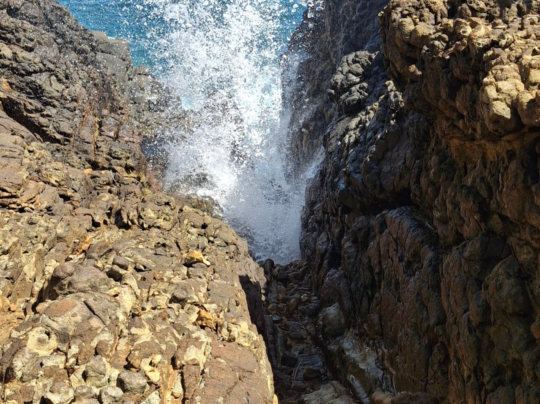 Fernando Tours Sri Lanka-Ja Ela必去景点