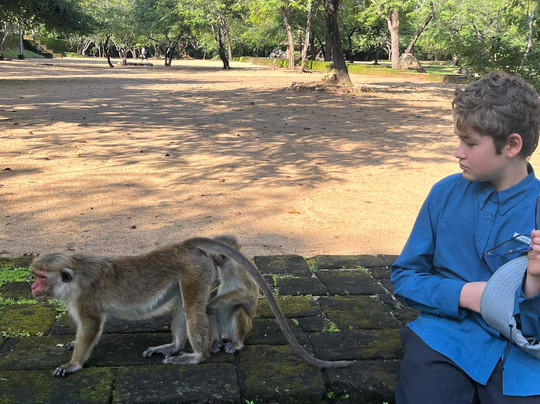 普赖米特中心旅馆主图