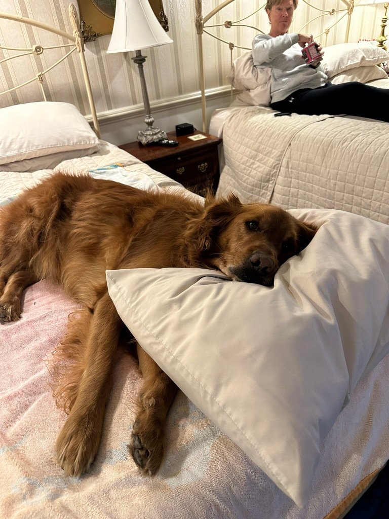 Richard Johnston Inn-官方