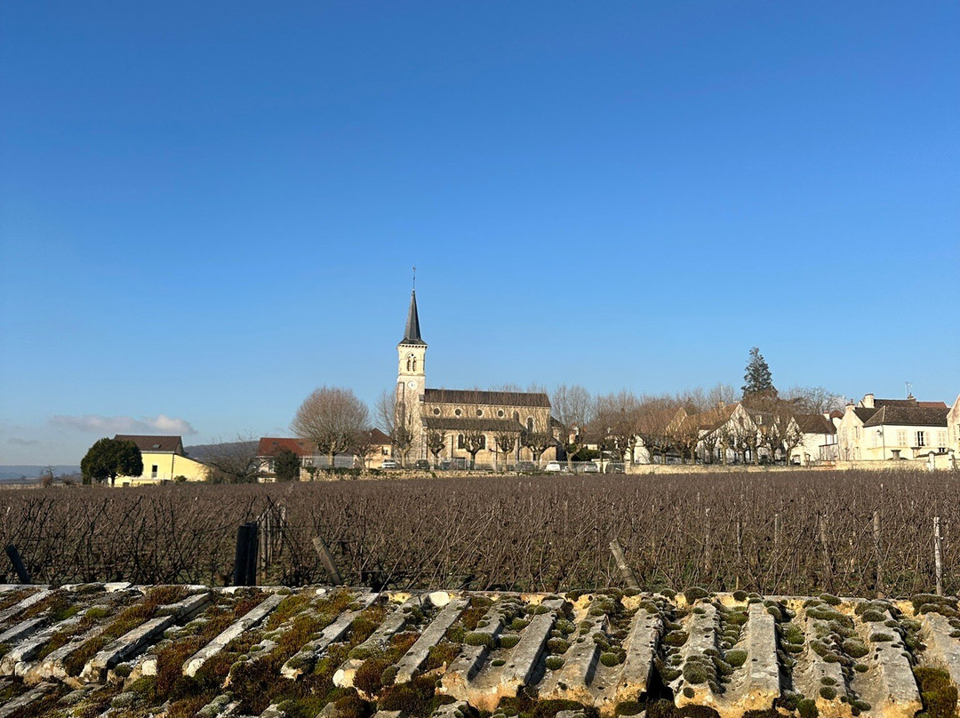 Kanpai Tourisme-里昂必去景点