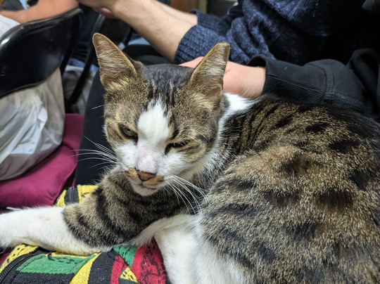 Joseph Bau House Museum-特拉维夫必去景点