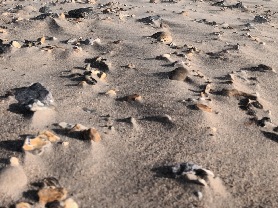 亨吉斯伯瑞头-伯恩茅斯必去景点