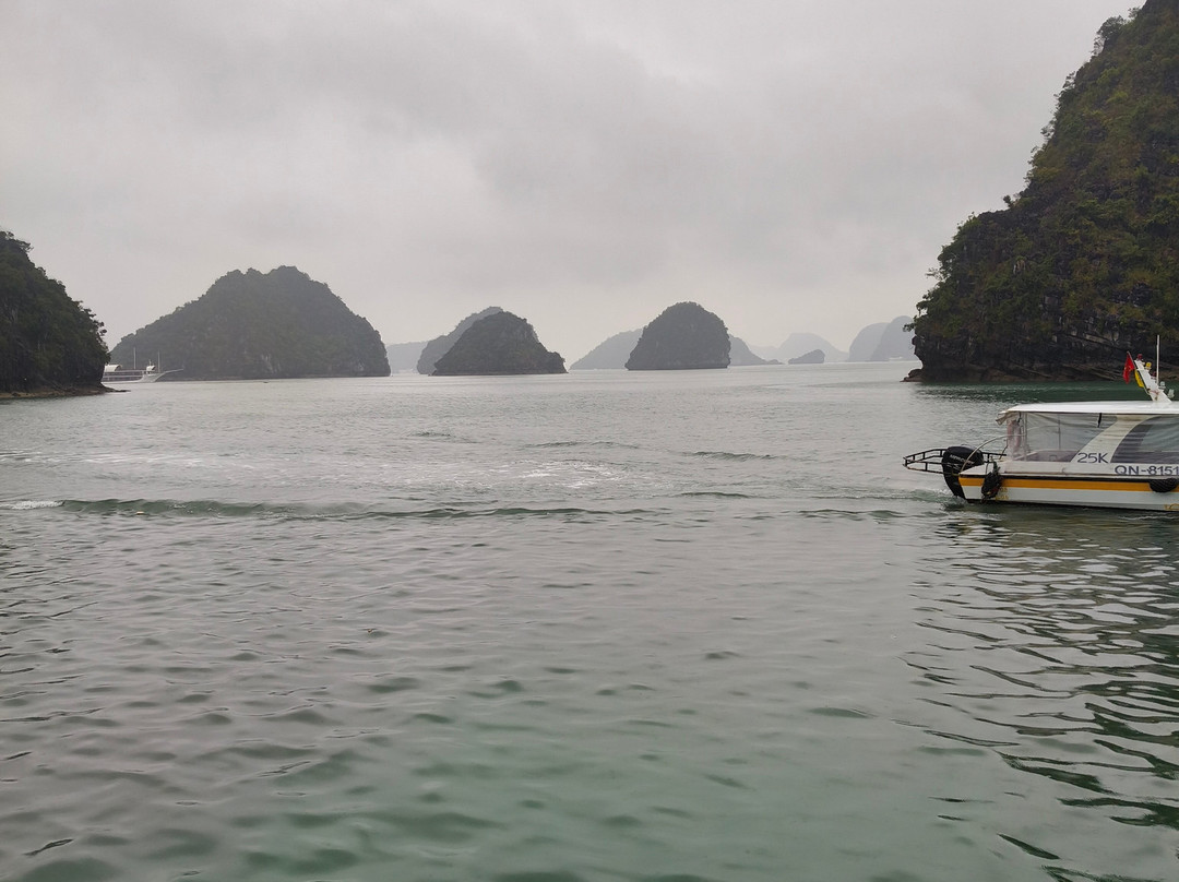 Elite of the Seas-下龙湾必去景点