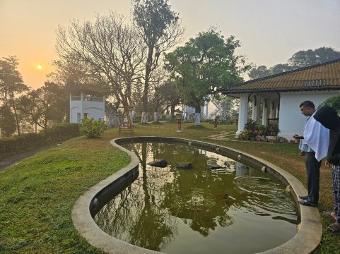 Parisons Plantation Experiences by Abad-官方