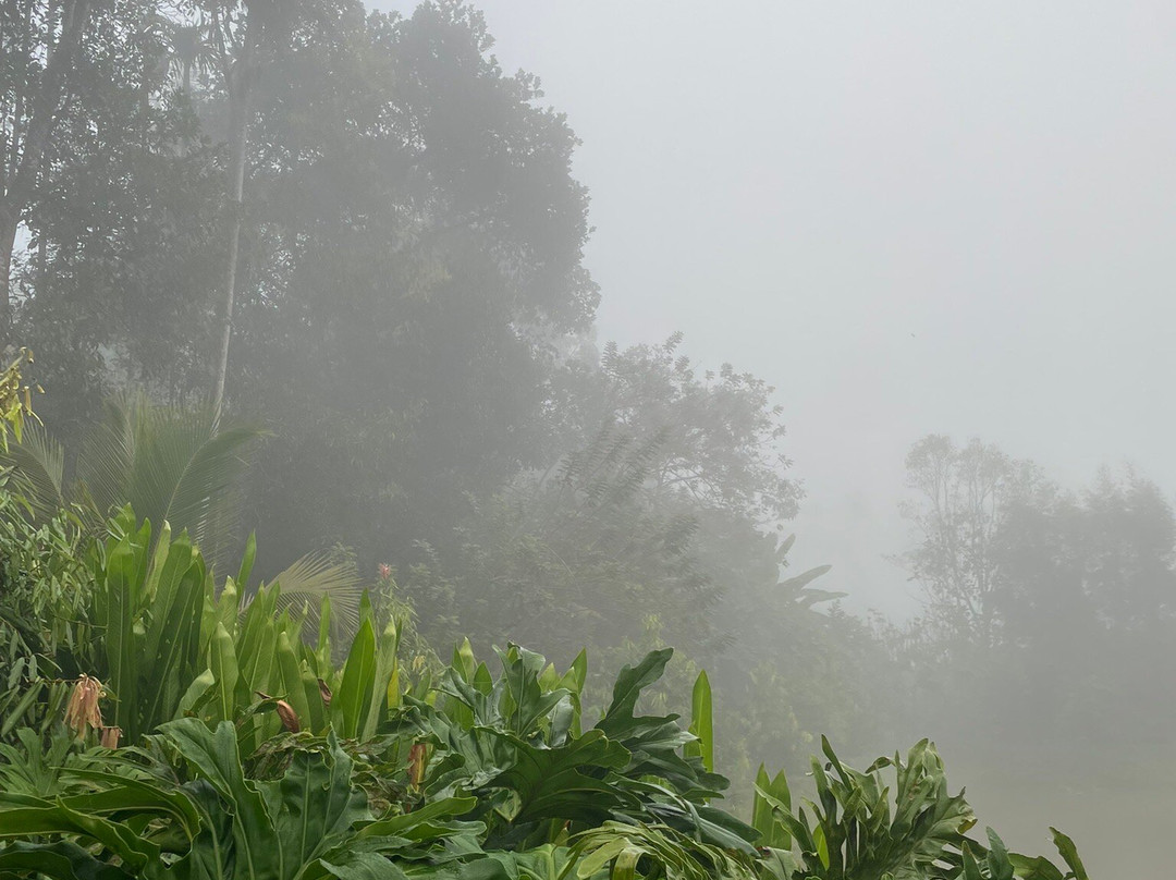 瓦亚纳德安纳特拉度假村主图