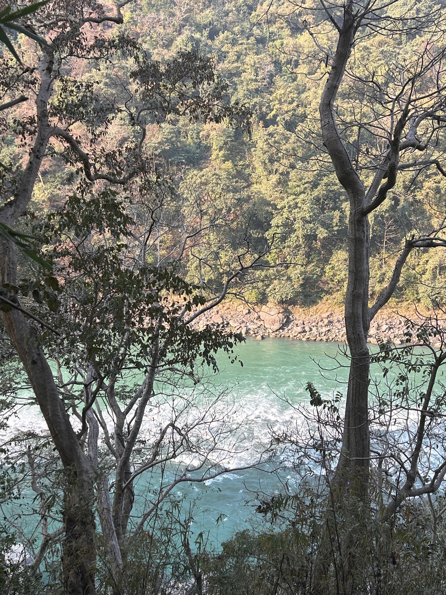 Neemrana's Glasshouse On The Ganges-官方