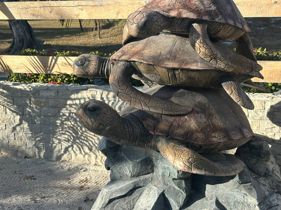 Centro de Rescate de Tortugas Marinas-拉戈岛必去景点