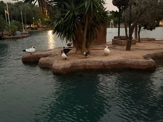 Parque De Las Naciones-托雷维耶哈必去景点