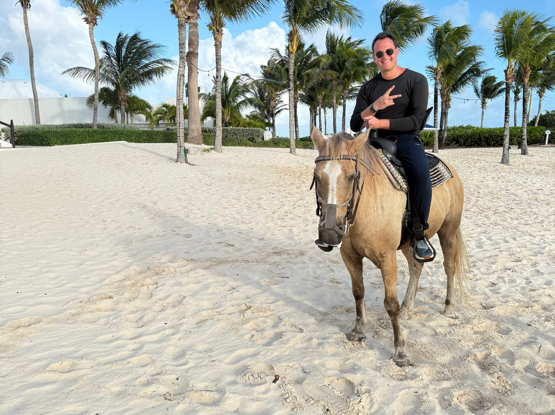 Seaside Stables Anguilla-West End Village必去景点