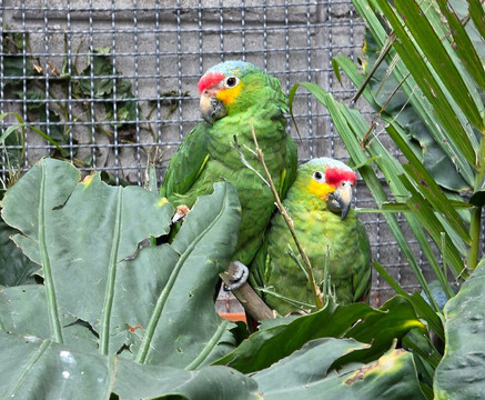 Acuario Michin Ciudad De Mexico-墨西哥城必去景点