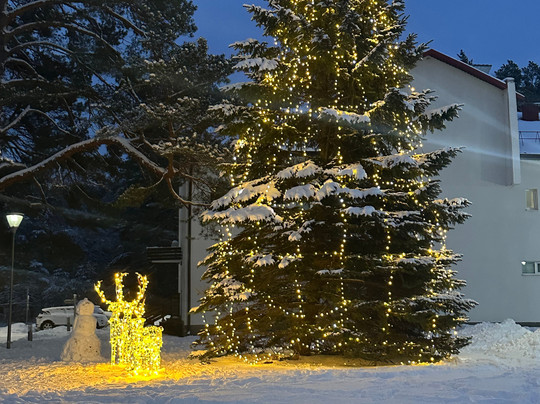 Gervyaty酒店住宿-Viliya Park