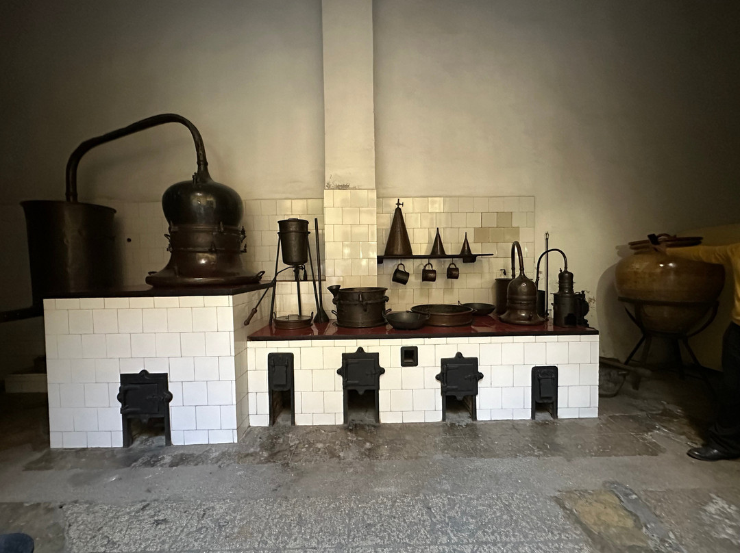 Pharmaceutical Museum-马坦萨斯必去景点