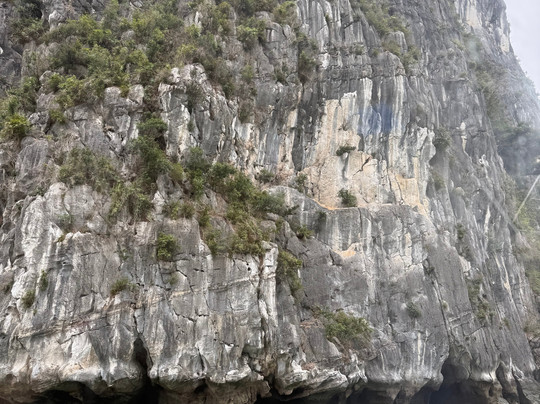 Erina Cruise-下龙湾必去景点