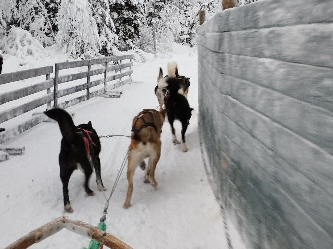 Lapland Safaris Yllas-Akaslompolo必去景点