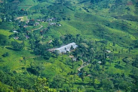 Private Tour Guide in Sri Lanka-科伦坡必去景点