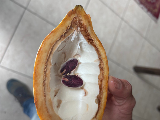 Bici Chocolate Tour-San Isidro必去景点