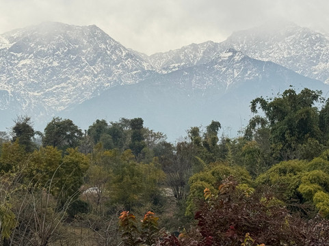 Storii by ITC Hotels, Amoha Retreat Dharamshala主图