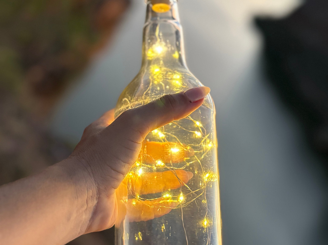 Virgulino Receptivos-Piranhas必去景点