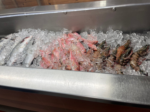 Zygi Marina-Zygi必去景点