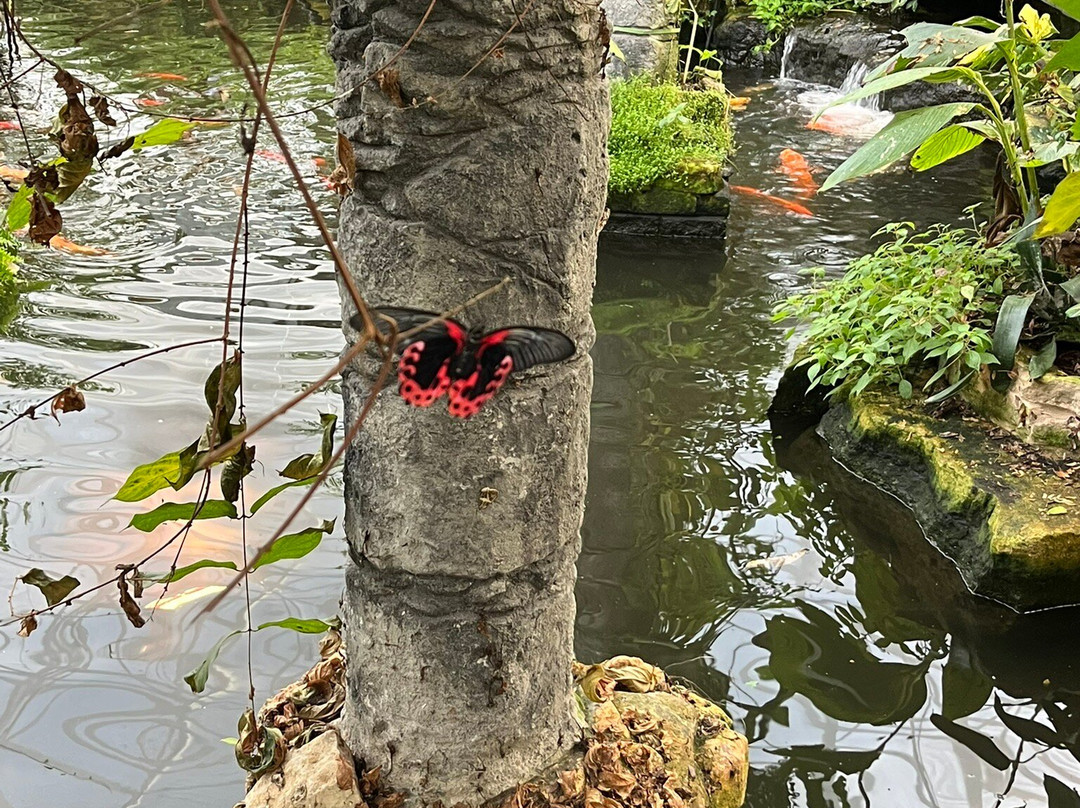 Stratford Butterfly Farm-埃文河畔斯特拉特福必去景点