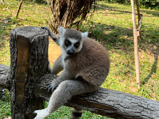 珍珠王国野生动物园-富国岛必去景点