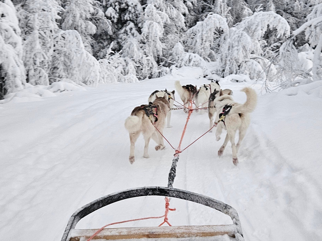 Wolf Trail-罗瓦涅米必去景点