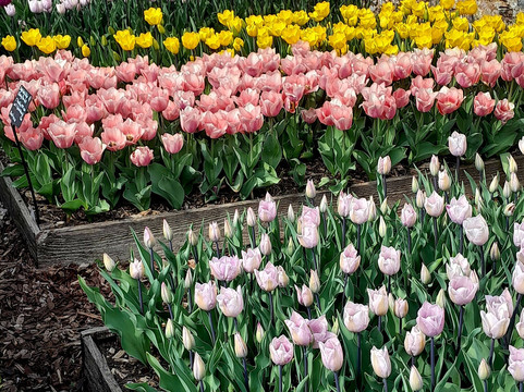 Grey's Court-泰晤士河畔亨利必去景点