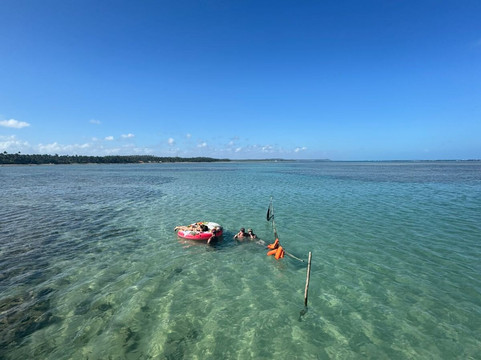 Passeios para as piscinas naturais do Patacho!-Porto de Pedras必去景点