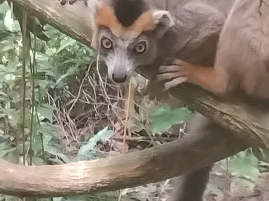 Theo Tours-安塔那那利佛必去景点