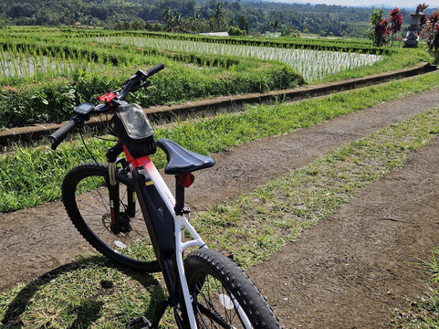 Jatiluwih Cycling & E-bike Tours With Bali By Pedals-达巴南必去景点
