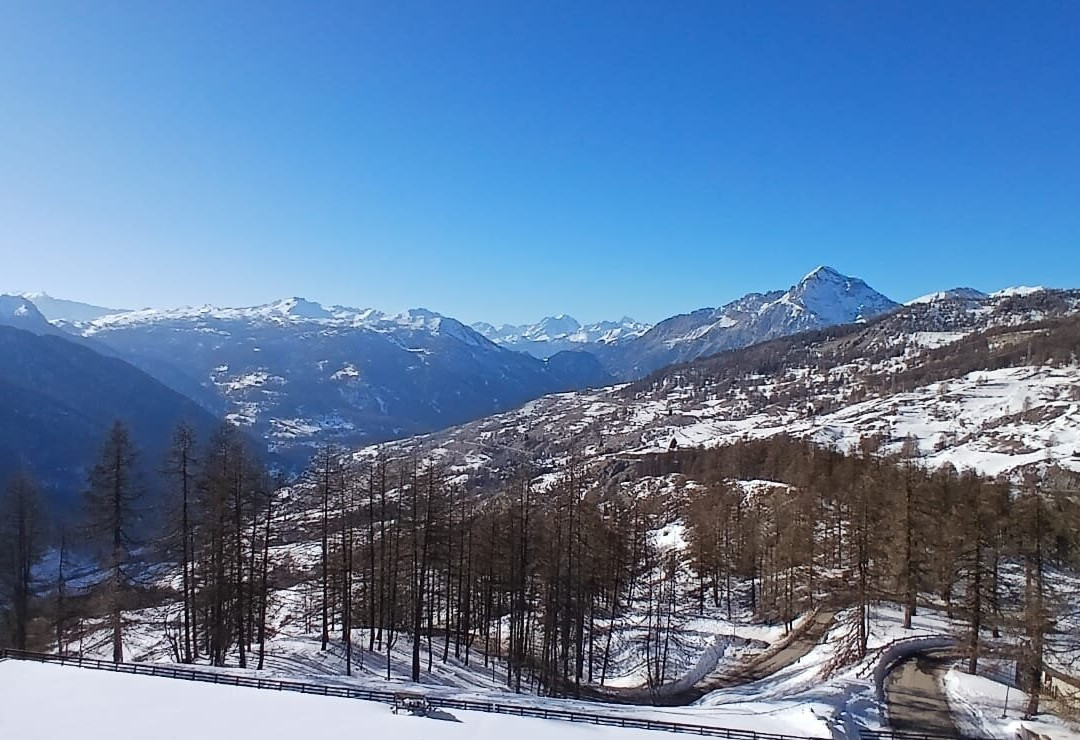 Hotel Principi di Piemonte主图