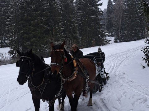 Kleines Vorwerk主图