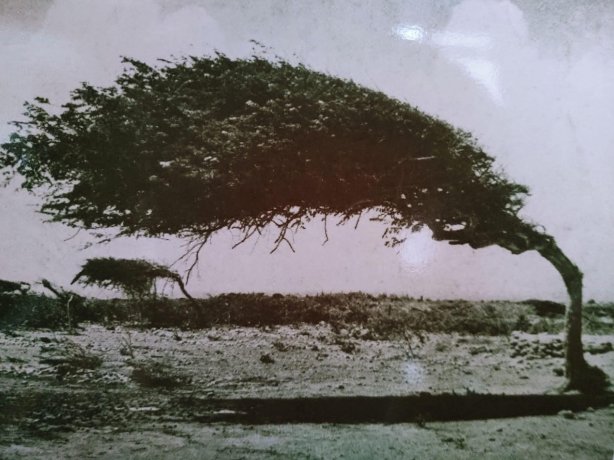 欧罗建筑酒店及套房科罗-官方