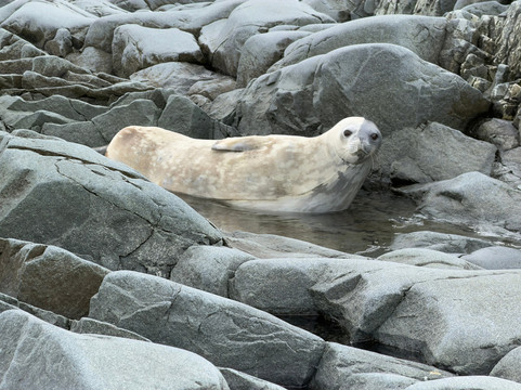 Adventure Life-库斯科必去景点