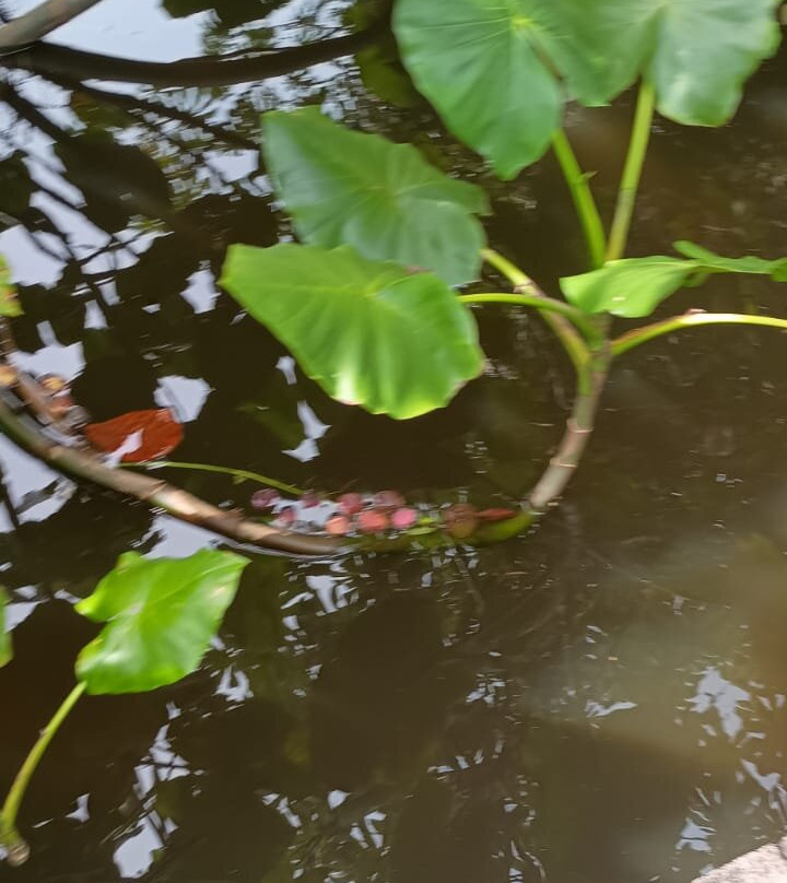 维京旅馆特权主图