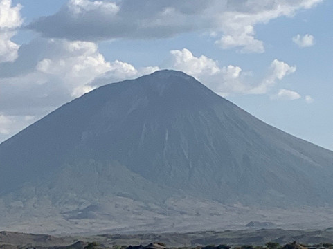 Marafiki Safaris & Cultural Tours-巴加莫约必去景点