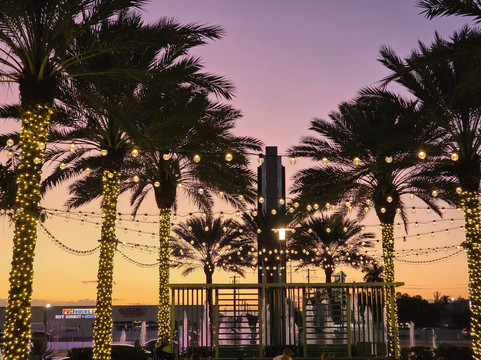 Dania Pointe-达尼亚滩必去景点