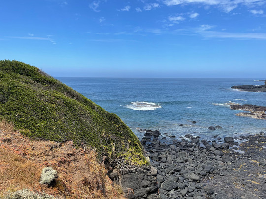 Flinders Blowhole-弗林德斯必去景点