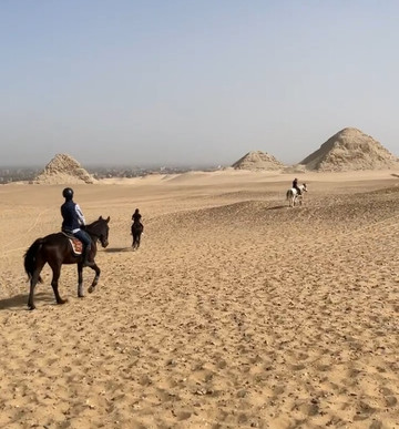 Cairo Horse Riding School-吉萨必去景点