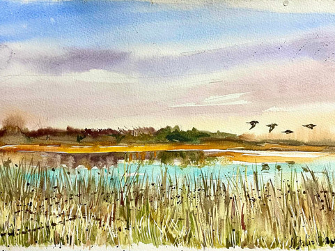 Bird Heaven-Freastrup必去景点