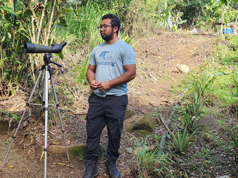 Sloths Paradise Rainforest