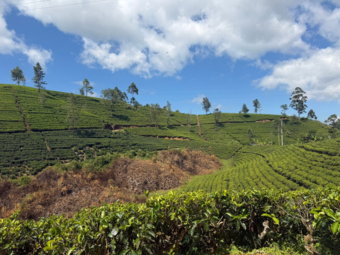 迪科雅公主酒店主图