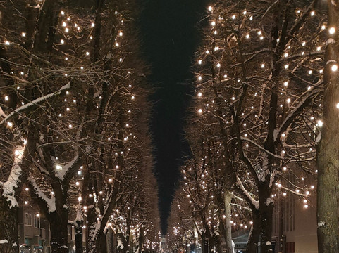 Kaunas Old Town-考那斯必去景点