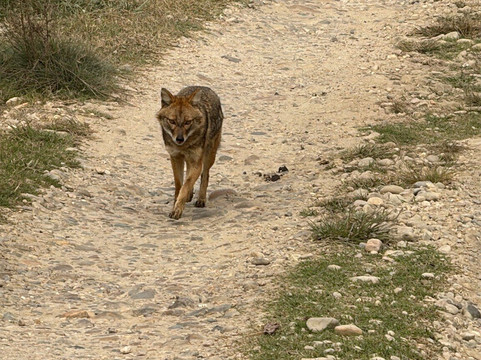 Sauraha Chitwan Nepal-苏拉哈必去景点