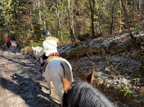 Horse Riding With Butch-波罗维兹必去景点