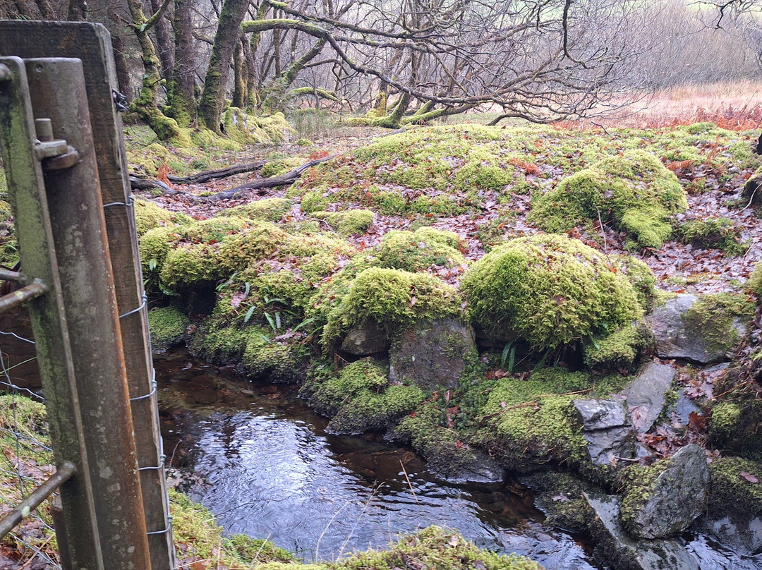 Ty Capel-Betws-y-Coed必去景点